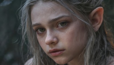 1girl,solo,long hair,looking at viewer,green eyes,grey hair,parted lips,pointy ears,blurry,lips,grey eyes,eyelashes,depth of field,blurry background,scar,elf,portrait,close-up,forehead,freckles,realistic,nose,closed mouth