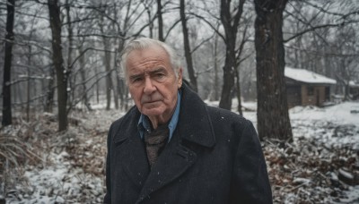 solo,looking at viewer,shirt,1boy,closed mouth,jacket,upper body,white hair,grey hair,male focus,outdoors,necktie,collared shirt,tree,coat,black jacket,facial hair,formal,suit,blue shirt,nature,black necktie,beard,snow,forest,black coat,snowing,realistic,mustache,old,winter,old man,bare tree,photo background,brown necktie,wrinkled skin,long sleeves,day,scarf,blurry,grey eyes,expressionless,scenery,manly,house