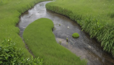 flower,outdoors,day,water,tree,no humans,from above,grass,plant,nature,scenery,forest,reflection,rock,river,path,pond,road,bush,puddle