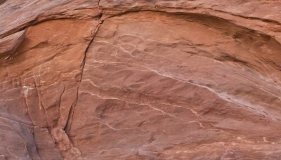 outdoors,water,no humans,ocean,animal,traditional media,beach,scenery,sand,painting (medium),day,from above,rock,shore,desert,cracked floor