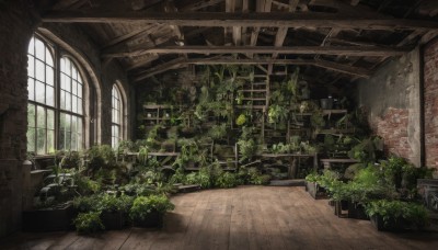 day,indoors,tree,no humans,window,sunlight,plant,scenery,wooden floor,stairs,potted plant,ruins,moss,barrel,overgrown,broken window,chair,ground vehicle,wall,brick wall,stone wall