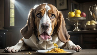 HQ,open mouth,brown eyes,food,tongue,indoors,tongue out,blurry,no humans,window,fruit,animal,table,knife,plate,bowl,dog,realistic,fork,apple,animal focus,lemon,solo,looking at viewer,holding,signature,collar,sunlight,light rays