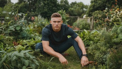 solo,looking at viewer,short hair,brown hair,shirt,black hair,1boy,sitting,full body,flower,short sleeves,male focus,outdoors,shoes,pants,blurry,black eyes,tree,black shirt,blurry background,facial hair,thick eyebrows,grass,plant,denim,t-shirt,nature,beard,watch,jeans,realistic,stubble,wristwatch,very short hair,undercut,photo background,arm hair,garden,buzz cut,blue eyes,closed mouth,day,leaf,squatting,blue shirt,blue pants