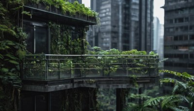 outdoors,day,blurry,tree,no humans,window,depth of field,plant,building,scenery,city,cityscape,ruins,vines,skyscraper,moss,overgrown,post-apocalypse,blurry background,railing,bridge,real world location