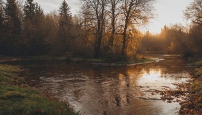 outdoors,sky,day,water,tree,no humans,sunlight,grass,nature,scenery,forest,reflection,road,bare tree,river,landscape,lake,cloud,cloudy sky,sunset,stream