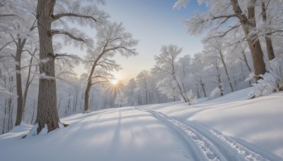 outdoors,sky,day,cloud,tree,blue sky,no humans,sunlight,nature,scenery,snow,forest,mountain,sun,road,winter,bare tree,sunrise,pine tree,sunset,landscape