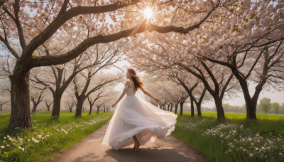 1girl, solo, long hair, brown hair, dress, flower, outdoors, sky, barefoot, day, from behind, white dress, tree, see-through, sunlight, grass, white flower, scenery, road, path