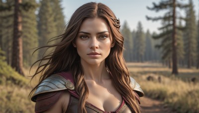 1girl,solo,long hair,breasts,looking at viewer,large breasts,brown hair,cleavage,brown eyes,medium breasts,closed mouth,collarbone,upper body,outdoors,day,armor,blurry,tree,lips,depth of field,blurry background,shoulder armor,nature,forest,freckles,pauldrons,realistic,nose,cape,sunlight,portrait