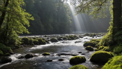 outdoors,day,water,tree,no humans,sunlight,grass,plant,nature,scenery,forest,light rays,rock,sunbeam,dappled sunlight,river,waterfall,moss,stream,branch,landscape