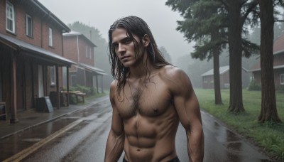 solo,long hair,looking at viewer,black hair,1boy,navel,closed mouth,nipples,male focus,outdoors,day,tree,muscular,facial hair,abs,thick eyebrows,pectorals,muscular male,building,topless male,realistic,road,house,chest hair,navel hair,blue eyes,brown hair,collarbone,upper body,sky,dark skin,necklace,wet,window,scar,grass,bara,beard,wet hair,manly,street,veiny arms