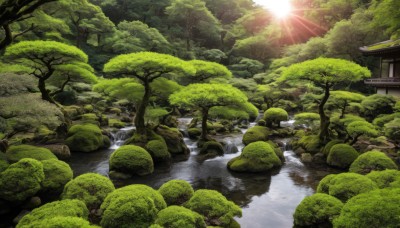 outdoors,sky,day,water,tree,no humans,sunlight,nature,scenery,forest,light rays,rock,mountain,sun,architecture,east asian architecture,river,moss,grass,building,house,landscape,pond,stream