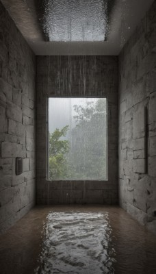 outdoors,day,indoors,water,tree,no humans,window,plant,scenery,rain,water drop,door,wall,brick wall,reflection,wooden floor,puddle