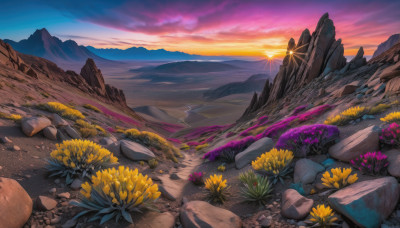 flower, outdoors, sky, cloud, no humans, scenery, sunset, rock, mountain, yellow flower, sun, landscape, sunrise