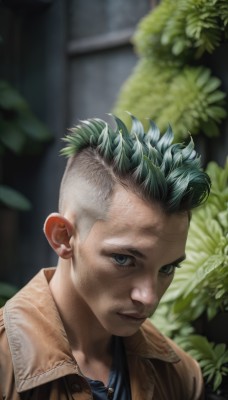 solo,looking at viewer,short hair,blue eyes,shirt,1boy,closed mouth,jacket,upper body,male focus,multicolored hair,outdoors,green hair,blurry,two-tone hair,blurry background,leaf,plant,portrait,brown jacket,realistic,nose,mohawk,white hair,tree,lips,grey eyes,scar,blue shirt,undercut,leather jacket