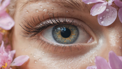 solo, looking at viewer, blue eyes, 1boy, yellow eyes, flower, male focus, eyelashes, close-up, pink flower, reflection, eye focus